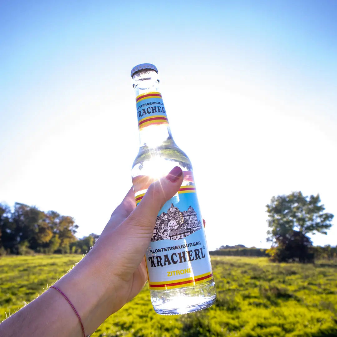 Kracherl Flaschen in Eiswürfeln